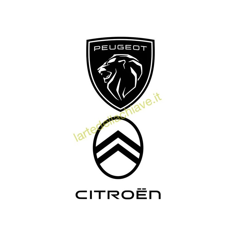 PIN CODE GRUPPO PSA ( PEUGEOT-CITROEN)