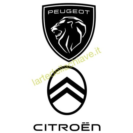 PIN CODE GRUPPO PSA ( PEUGEOT-CITROEN)